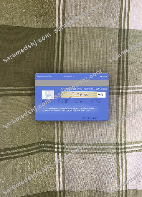 USA KeyCorp Bank visa card photolook back